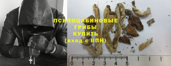 винт Богородск