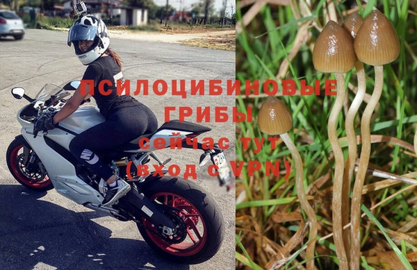 марихуана Богданович
