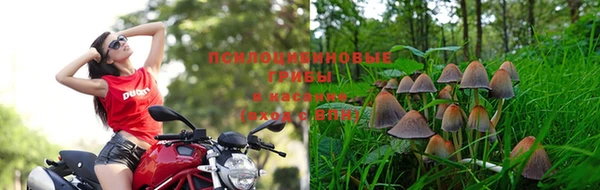 винт Богородск