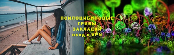 таблы Богородицк